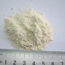 2020 Crop Dry Horseradish Powder
